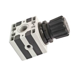 REGULADOR DE PRESION CUERPO METALICO