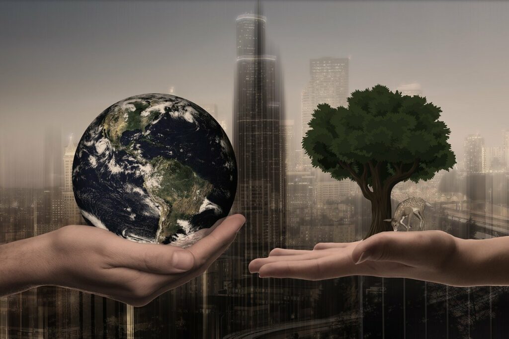 Silicon Valley sostenibilita ambiente 1024x682 1
